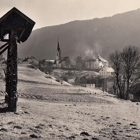 Apartments Edelweiss & Enzian - Gaestehaus Zum Fuchs Hermagor-Pressegger See Luaran gambar